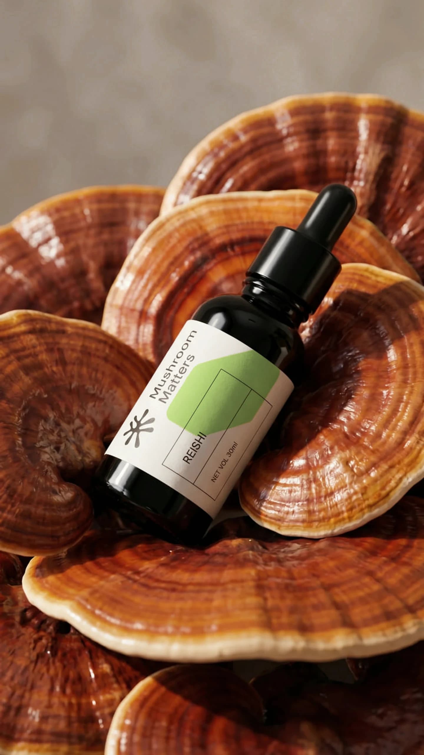 Reishi: the extract and its raw material — fruiting body